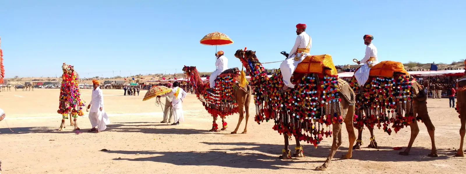 Festivals of Rajasthan: Celebrating Culture, Tradition, and Grandeur