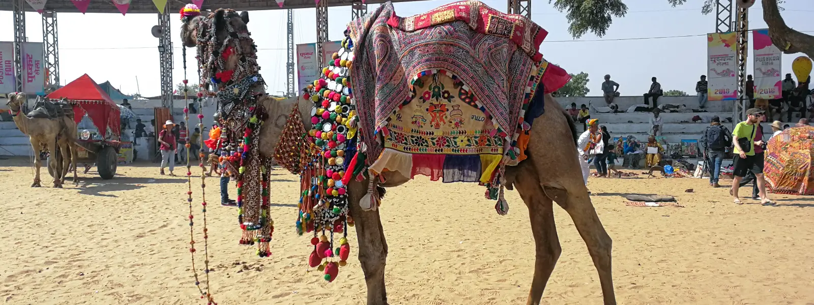 Festivals of Rajasthan: Celebrating Culture, Tradition, and Grandeur